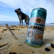 jammer-beach-dog