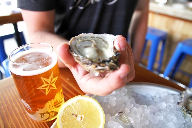 Jammer and Oyster Pairing